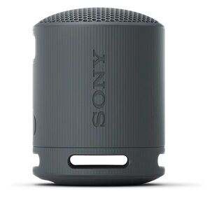 Sony Portable Bluetooth Speaker - black